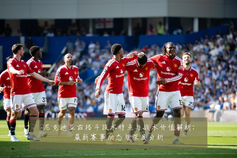 尼克迪亚兹格斗技术特点与战术价值解析：最新赛事动态与深度分析